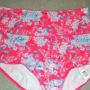 Goddess KAYLA pink blue Mid rise Brief Panty LOT 2